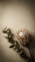 Dried protea flower and eucalyptus branch arranged on textured beige paper background creating elegant botanical composition for natural home decor projects.
