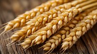 Golden ripe wheat ears on rustic wooden background, macro view showing detailed grain texture. Agricultural harvest concept for bread making and cereal production.