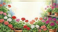 Colorful geranium flowers in terracotta pots creating decorative border frame with copy space for text on light background for gardening and floral design.