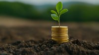 Young green plant growing from stack of golden coins in soil, symbolizing financial growth, sustainable investment and wealth development in nature.