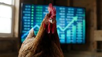Rooster with red comb and wattles facing camera indoors with stock market data display on screen behind, symbolizing financial growth and market trends.