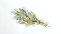 Watercolor painted sage herb bundle with soft green and golden tones, isolated on white background for culinary, botanical, and wellness design projects.