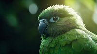 Close-up portrait of green amazon parrot with bright blue eyes and detailed feathers against dark blurred background, showing majestic profile view of exotic bird.