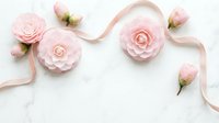 Soft pink roses and buds arranged with a satin ribbon on a white marble surface, elegant flat lay for wedding or feminine design.