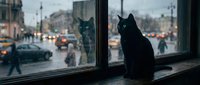 Black cat sitting on windowsill overlooking rainy urban street with traffic, pedestrians, and city buildings, suitable for moody atmospheric backgrounds.