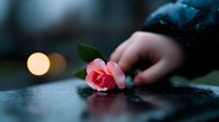 Single pink rose lying on dark reflective surface with blurred bokeh lights and gentle hand in background creates moody romantic atmosphere.