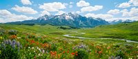Scenic mountain valley landscape with wildflower meadow featuring red and purple blooms, winding river, and snow-capped peaks under blue sky with white clouds.