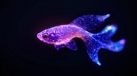 Luminescent fish glowing in purple and blue neon colors against dark background, digital art style with particle effects creating magical underwater atmosphere.