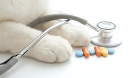 Veterinary care concept with cat paws, stethoscope and colorful pills on white background for pet health and medical treatment.