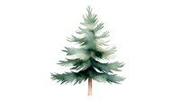 Elegant watercolor pine tree with soft green foliage and slender trunk, perfect for nature-themed designs and holiday illustrations.