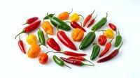 Assorted fresh chili peppers and bell peppers in red, yellow, orange and green colors isolated on white background for cooking and culinary design projects.