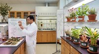 Asian male scientist in white lab coat examining plant specimens in modern laboratory with potted plants and research equipment for botanical studies.