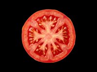 Fresh tomato slice isolated on transparent background, showing seeds and juicy flesh. Ready for food design, stickers, t-shirts, print on demand, and sublimation projects.