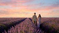 Couple holding hands walking through blooming lavender field at sunset, romantic outdoor engagement or wedding photography for travel and lifestyle content.