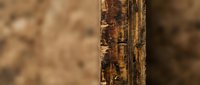 Weathered wooden post with rustic texture and natural grain patterns against blurred background for construction and carpentry projects.