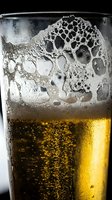 Freshly poured golden beer with thick white foam head and carbonation bubbles in chilled glass, ideal for beverage, brewery, and hospitality marketing.