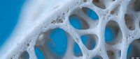 Close-up macro view of white porous bone structure showing detailed trabecular architecture and calcium matrix formation for medical education materials.