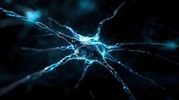 Glowing blue neuron cell with synaptic connections on dark background, neural network visualization for medical and scientific concepts, brain research illustration.