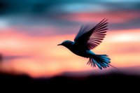 Silhouette of wild bird with spread wings flying against dramatic sunset sky in pink and orange colors, black bird shape with detailed feathers in motion.