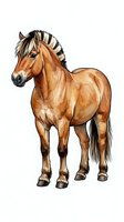 Brown horse with black mane and tail standing in profile on white background, isolated clipart suitable for design, print, and educational materials.