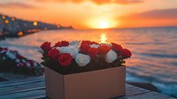Red and white roses in modern box against dramatic ocean sunset background, golden hour lighting creates romantic coastal atmosphere with bokeh city lights.