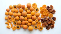 Whole and halved apricots with pits displayed on white background, suitable for food photography, culinary design, nutrition content, and healthy eating concepts.