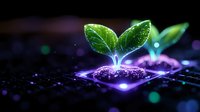 Glowing green seedling emerging from soil with purple neon light effect, symbolizing growth and technological innovation in agriculture and sustainability.