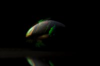 Mysterious glowing abstract shape emerging from darkness with green and red light effects creating ethereal atmosphere against black background.