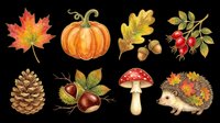 Autumn harvest collection with maple leaf, pumpkin, oak leaves, rosehips, pinecone, chestnuts, red mushroom, and hedgehog isolated on transparent background. Ready for t-shirts, stickers, clipart, and print-on-demand designs.