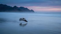Seagull flying low over calm ocean water at twilight with mountain silhouettes in background, creating peaceful coastal scene with soft purple and blue tones.