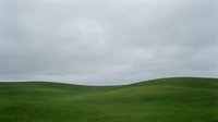 Rolling green hills under overcast sky, minimalist landscape with undulating terrain and soft cloud cover, suitable for backgrounds and nature themes.