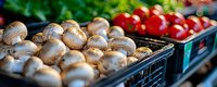 Fresh white mushrooms and red cherry tomatoes in plastic containers at farmers market or grocery store display, panoramic food background.