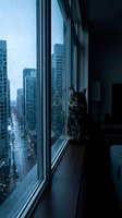 Black fluffy cat sitting on windowsill gazing at rainy cityscape with tall skyscrapers. Urban apartment interior with modern windows overlooking metropolitan skyline.