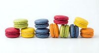 Colorful French macarons arranged in rows on white background. Sweet pastry dessert collection with vibrant almond cookies for bakery menu design.