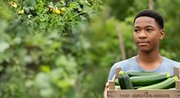 Young man of African descent holding fresh cucumbers in wooden crate outdoors among green foliage, suitable for organic farming, agriculture, and healthy food concepts.