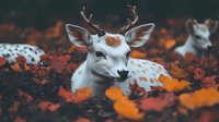 Young spotted deer resting peacefully among vibrant autumn leaves in natural forest setting during fall season.