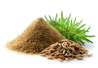 Aromatic rosemary herb with pile of ground powder and whole seeds on white background, natural cooking ingredients for culinary use.