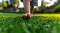 Bare feet walking on fresh green grass lawn in morning sunlight, close-up view. Natural wellness and grounding concept for healthy lifestyle.