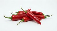 Fresh red chili peppers isolated on white background for culinary cooking spice ingredient design projects and healthy organic food concepts.
