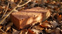 Old weathered brick fragment lying among dried autumn leaves and twigs on forest ground, showcasing natural decay and rustic textures in warm sunlight.