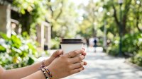 Close-up of hands holding takeaway coffee cup in sunny park setting with blurred green foliage and pathway background for beverage, lifestyle and outdoor leisure concepts.