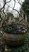 Rustic weathered metal planter with purple flowering plants in atmospheric garden setting with bare winter trees and stone architecture background.