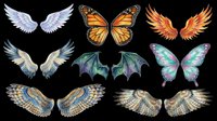 Watercolor wings collection featuring angel, monarch butterfly, phoenix, demon bat, and iridescent fairy wings isolated on transparent background. Ready for t-shirt design, clipart, stickers, sublimation, and print-on-demand projects.