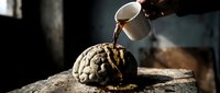 Liquid pouring onto brain model on stone surface, representing knowledge transfer, learning concepts, and educational growth for science and medical training materials.