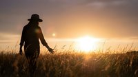 Silhouette of farmer walking through golden wheat field at sunset with warm sunlight creating peaceful rural agricultural landscape scene.