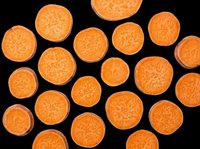 Sliced orange citrus fruit rounds isolated on transparent background, ready for t-shirt design, clipart, stickers, print-on-demand products and sublimation projects.