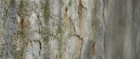 Weathered concrete wall surface with peeling paint and rust stains showing urban decay and industrial texture for backgrounds and design projects.