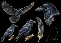 Dark raven clipart set with flying crow, perched birds, feather, and silhouette, isolated on transparent background, ready for t-shirts, stickers, and print on demand.