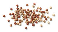 Mixed coriander seeds scattered on white background. Whole dried spice ingredient for cooking, seasoning and culinary preparations isolated for design use.