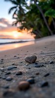 Heart-shaped stone on tropical beach sand at sunset with palm trees and ocean waves creating romantic atmosphere for love and vacation concepts.